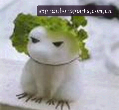 陈静